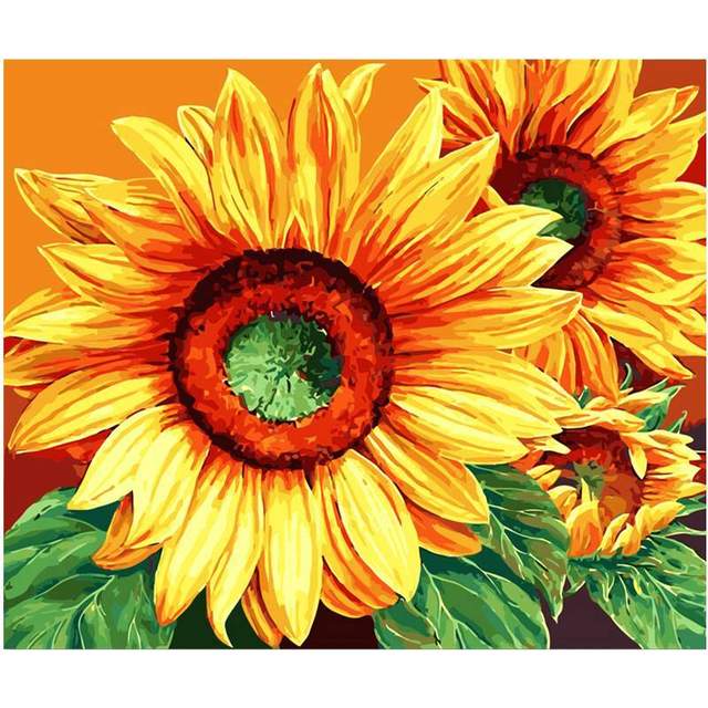 The Sunflowers - Sunflower Paint by Numbers for Adults