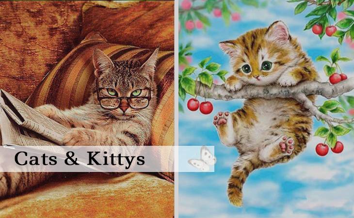 Cats or Kitty Paint by Numbers kit