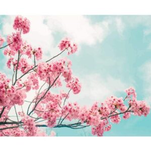 Cherry Blossom Branch - DIY Canvas by Numbers Kit for Adults