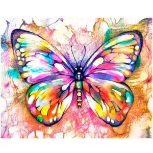 Colorful Butterfly - DIY Easy Paint by Numbers Kit for Beginner