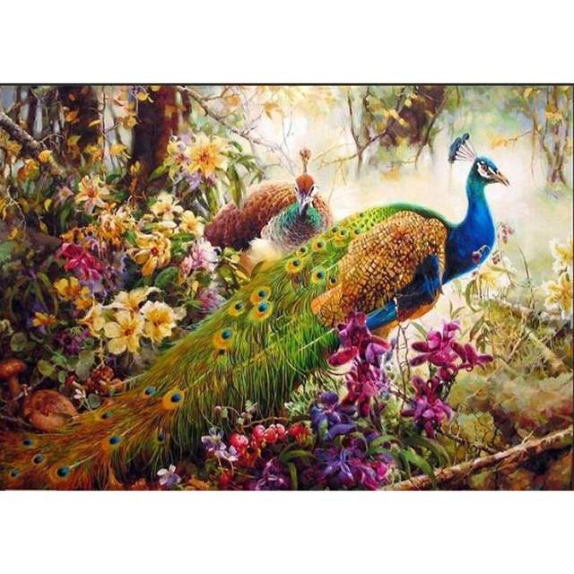 Indian Peacock Couple in Blooming Garden - Paint by Numbers Kit