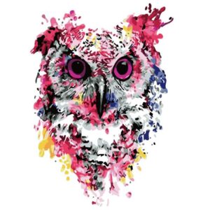 Pink Owl - Easy Paint by Numbers Kit for Beginner Kids
