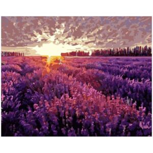 Sunrise over the Lavender Field - DIY Acrylic Draw by Numbers Set