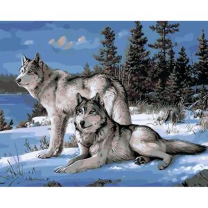 Two Wolves DIY Oil Paint By Number Kit