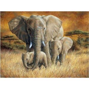 Elephant Family - Animals Paint by Number for Adults