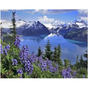 Garibaldi Lake - Landscape Coloring by Numbers Kits