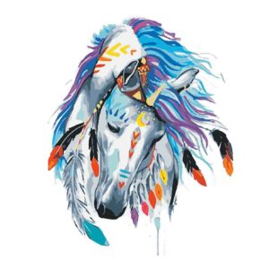 Indian Horse Easy Paint by Numbers