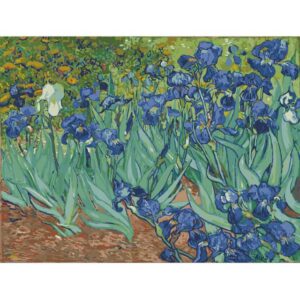 Irises by Vincent van Gogh 1889 Oil Painting by Numbers Kit