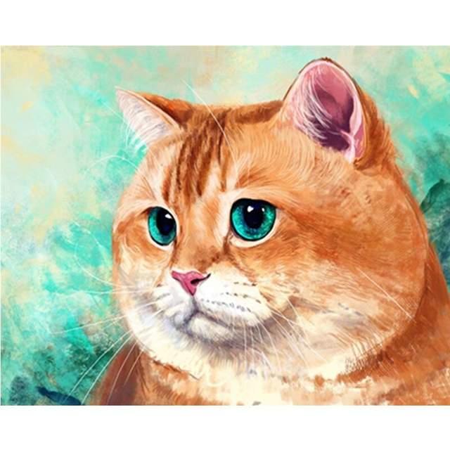 Orange Cat with Turquoise Eyes - Paint by Numbers