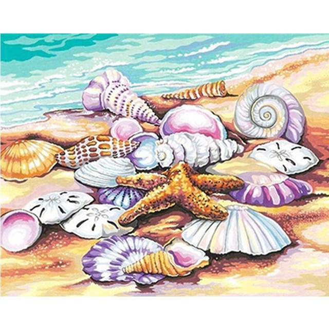 Starfish and Seashells on the Beach Paint by Numbers for Adults