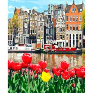 Tulips in Amsterdam - Paint by Numbers Kits