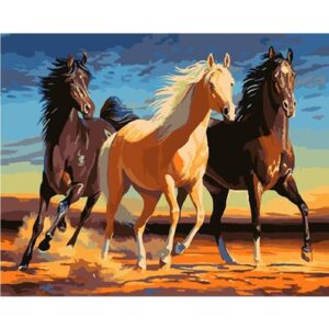 Beautiful Horses - Paint by Numbers for Adults