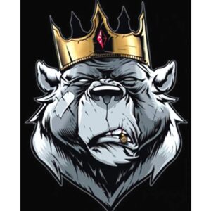 King Bear - Paint by Numbers Forest Animals