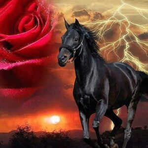 Lightning Storm Black Horse - Paint by Numbers Farm Animals