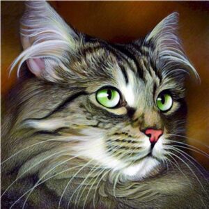 Siberian Cat - Paint by Numbers Kits