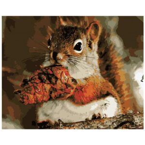 Squirrel and Cedar Cones - Forest Animals Paint by Numbers for Adults