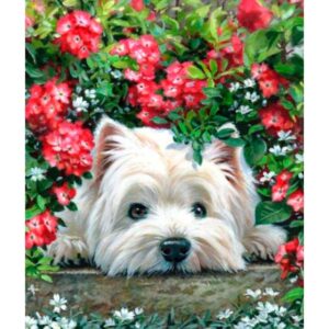 West Highland White Terrier - Paint by Numbers Dogs