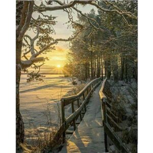 Winter Sunset in Forest - Paint by Numbers Landscape