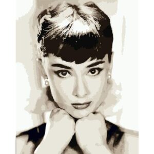 Audrey Hepburn Portrait - Paint by Number Audrey Hepburn