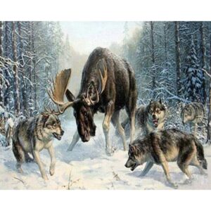 Moose vs Wolves - Paint by Numbers Wildlife