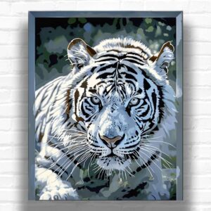 3D White Tiger - Paint by Numbers Kit