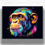 Colorful Chimp - Paint by Numbers Kit