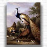 Peacock, Hen and Cock Pheasant in a Landscape - Paint by Numbers Kit