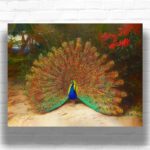 Peacock and Peacock Butterfly - Famous Paint by Numbers
