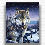 Starry Night Wolf - Wolf Paint by Number Kit