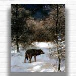 Timber Wolf by Alfred Kowalski Paint by Numbers - Winter Forest Wolf Art