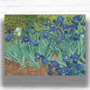Irises by Vincent van Gogh 1889 - Famous Art Paint by Numbers