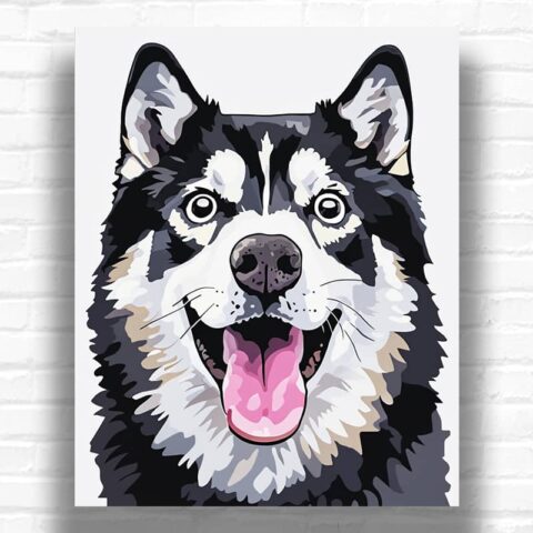 Portrait of Surprised Husky - Paint by Numbers Kit