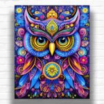 Psychedelic Owl - Owl Paint by Number Kit