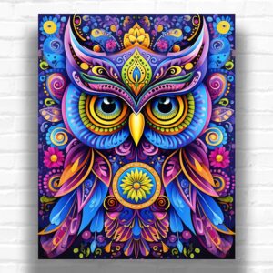 Psychedelic Owl - Owl Paint by Number Kit