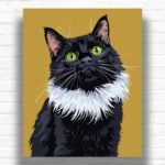 Black and White Cat - Cat Paint by Number Kit