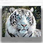 Black and White Tiger with Blue Eyes - Paint by Number Kit