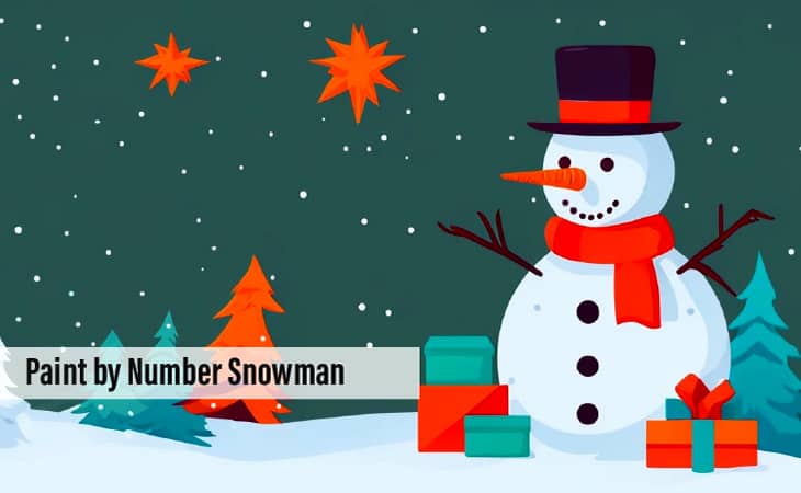 Paint by Number Snowman