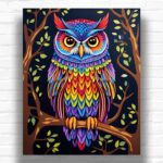 Rainbow Owl - Paint by Numbers Kit