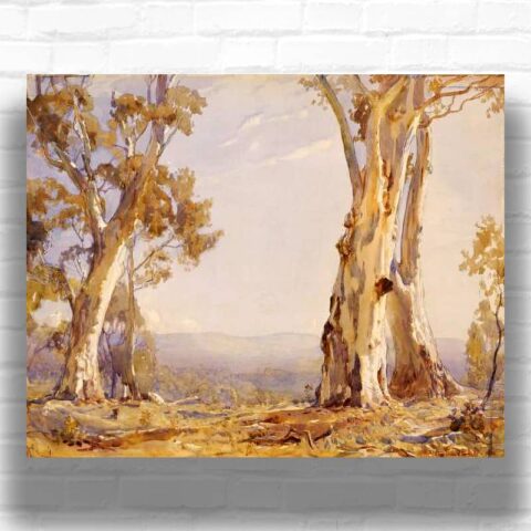 Silver and Grey by Hans Heysen Paint by Numbers - Australian Landscape Artwork