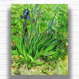 The Iris by Vincent van Gogh Paint by Numbers - Famous Floral Art