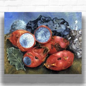 Pitahayas, 1938 Frida Kahlo Paint by Numbers - Surreal Fruit Art