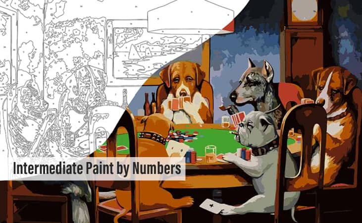 Intermediate Paint by Numbers